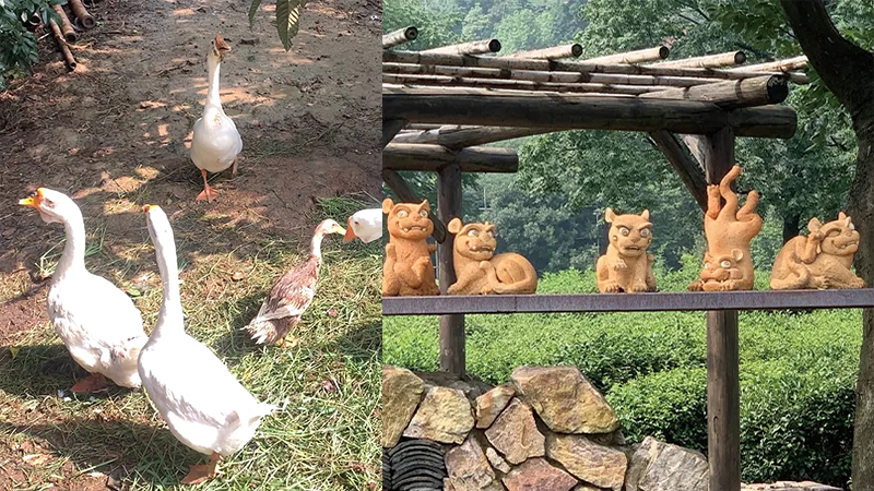 1686727619268432.jpg 2021073160983441.jpg