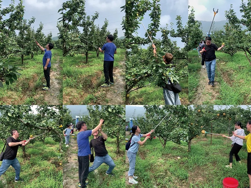 1686727636292510.jpg 2021073160675505.jpg