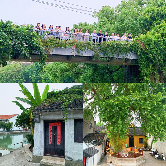 1686900193830993.jpg 2022090847167705.jpg